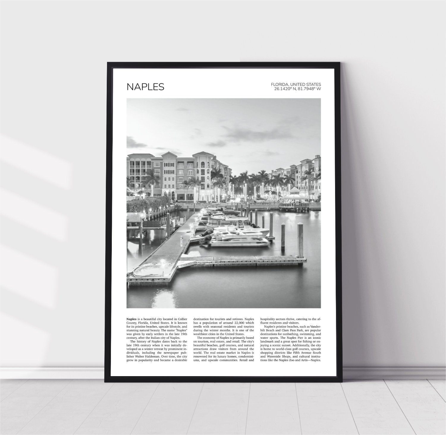 Naples Florida Travel Poster 0101