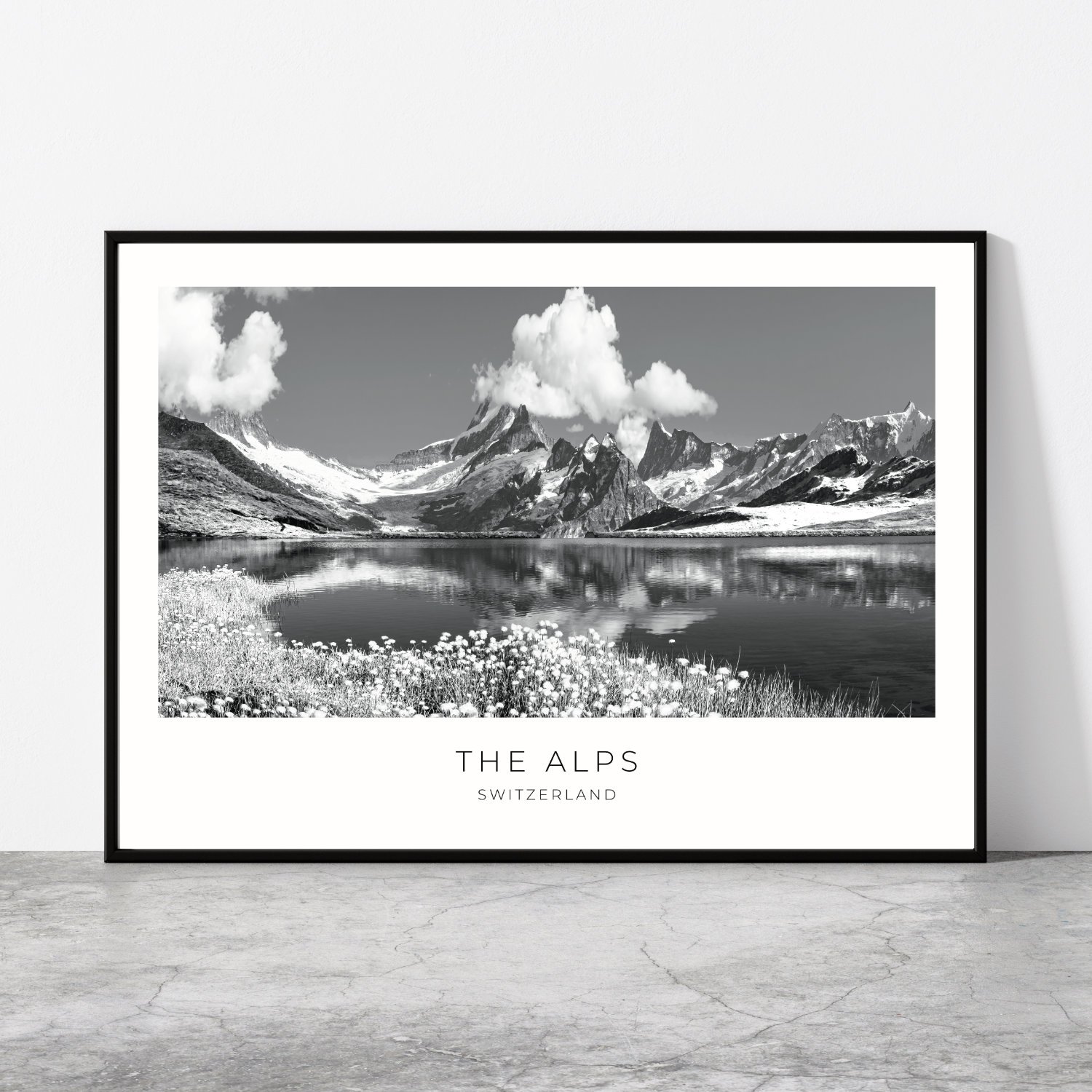 The Alps Travel Poster 0109