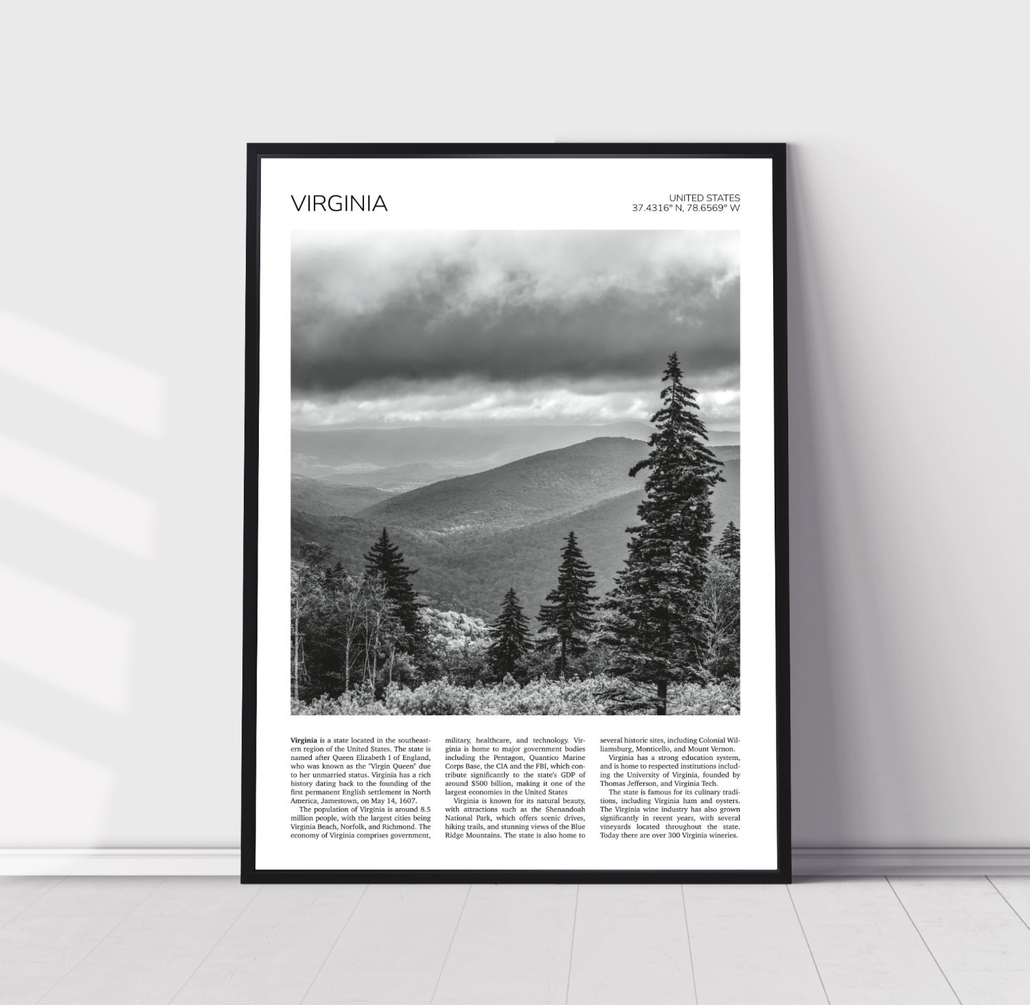 Virginia, USA Travel Poster 0060