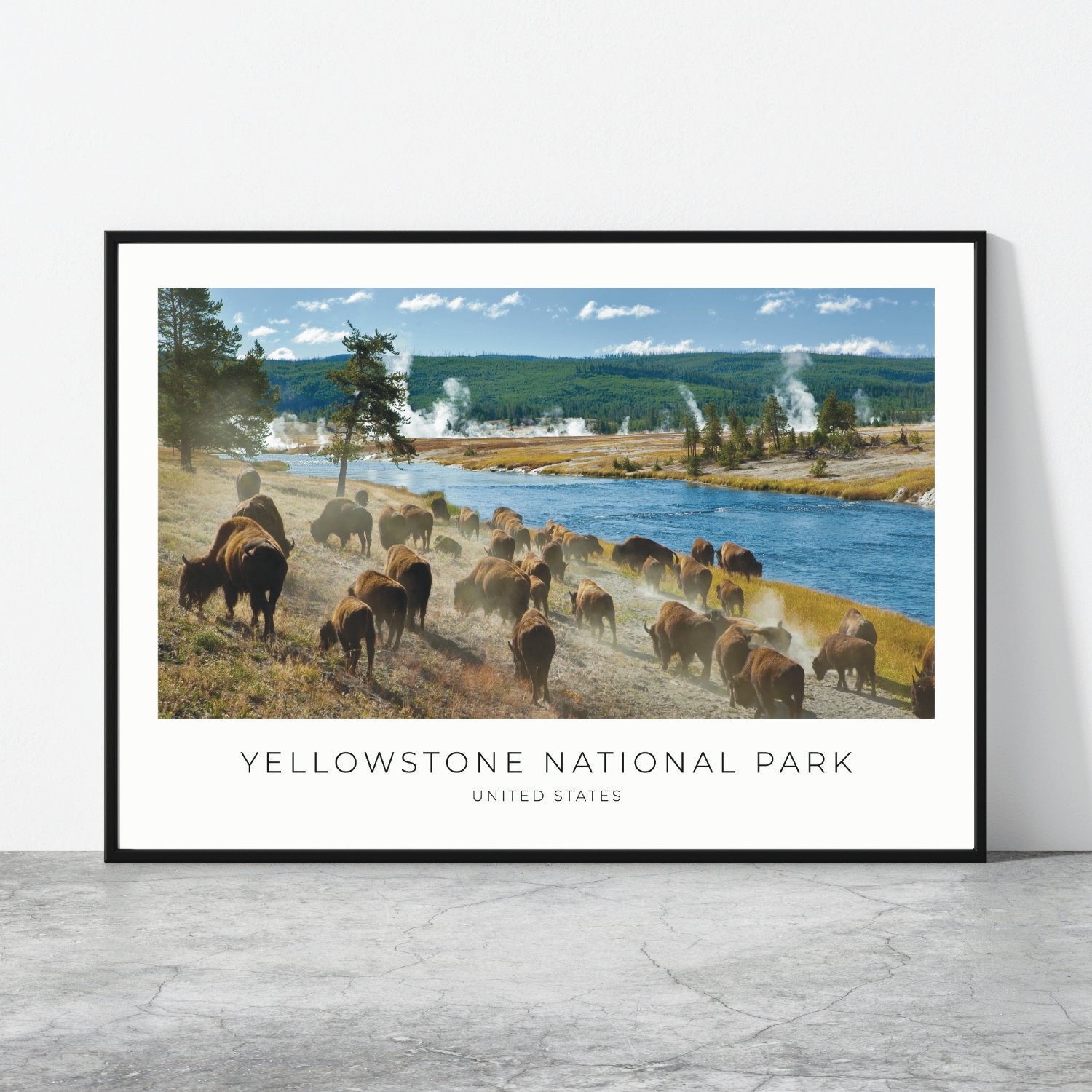 Yellowstone National Park, USA Travel Poster 0449