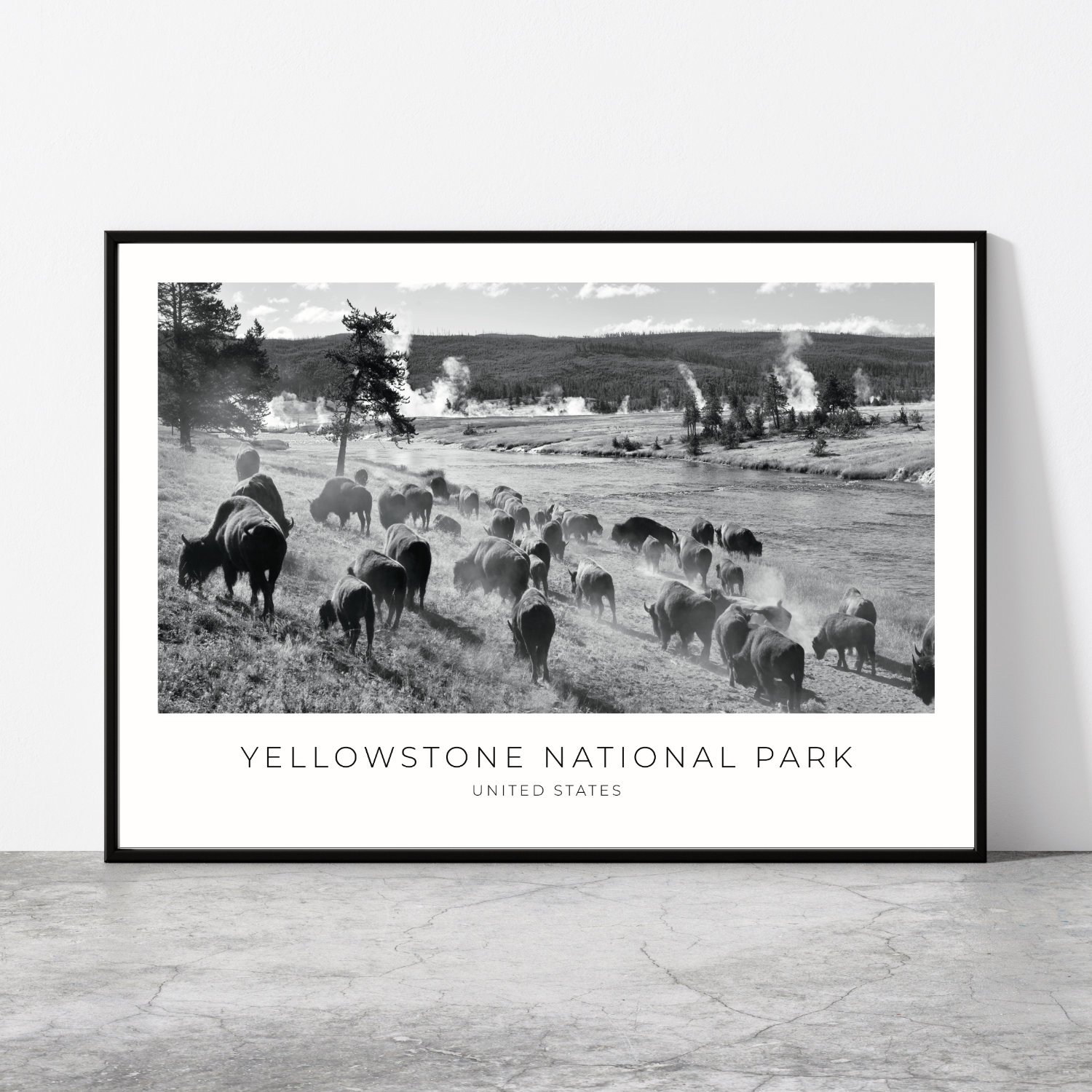 Yellowstone National Park, USA Travel Poster 1113